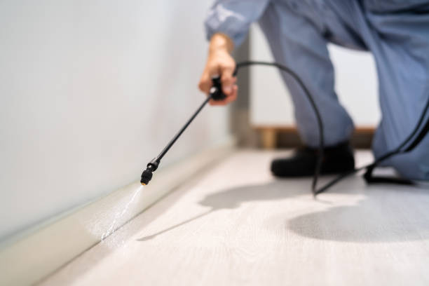 Licensed Termite Control service in West Park, FL - Nex Pest Control