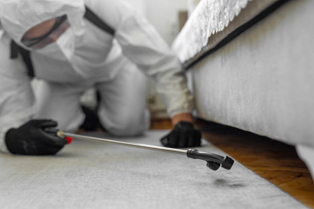 Professional Termite Control technician working in West Park, FL
