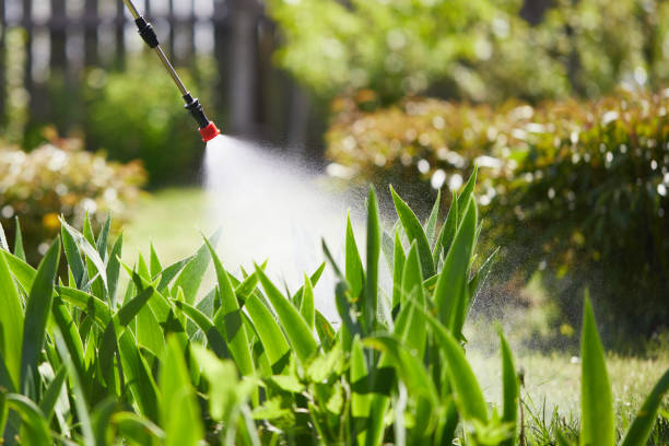 24/7 Emergency Termite Control experts in West Park, FL
