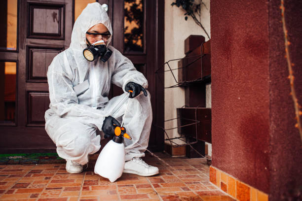 Reliable Termite Control contractor in West Park, FL by Nex Pest Control