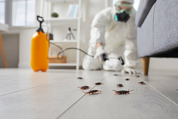 Affordable Termite Control solutions in West Park, FL