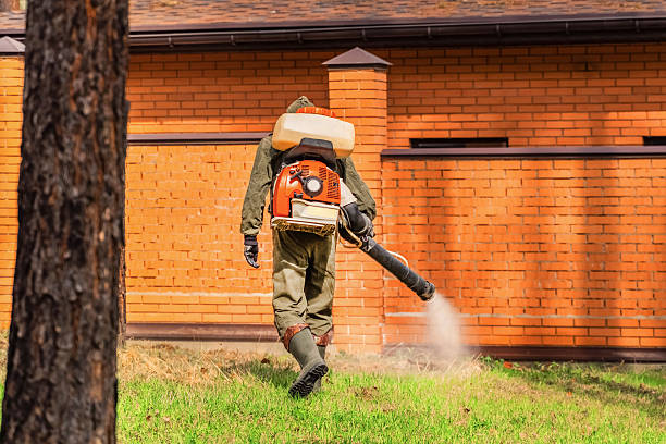 Top rated local Termite Control specialists in West Park, FL
